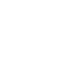 IMAGINUS